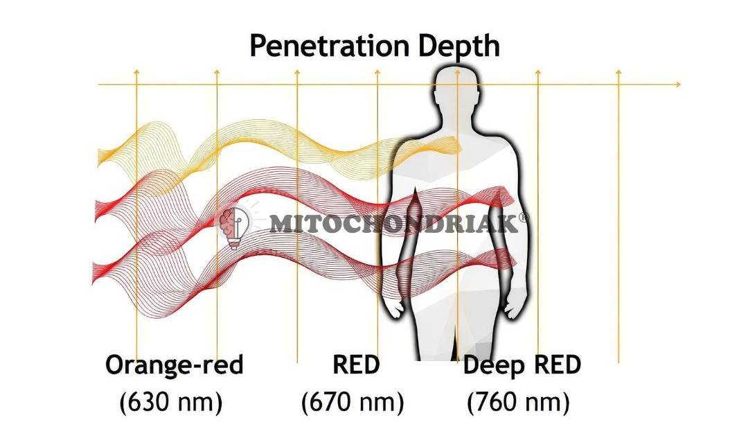 Mitochondriak® light therapy